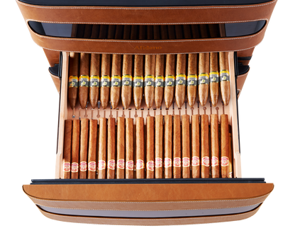 Afidano L3 Humidor Drawer Full